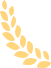 20240923035253372 图片