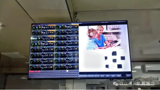 20240923035254453 图片