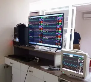 20240923035256718 图片