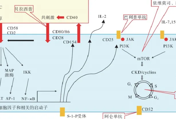 20251017095732915 图片
