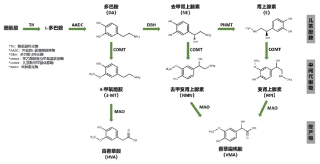 20251025055857605 图片